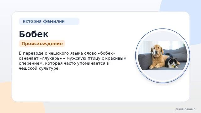 Фамилия Бобек: происхождение, значение и склонение