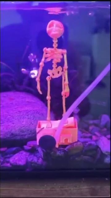 Вот ещё один повод купить 3D-принтер