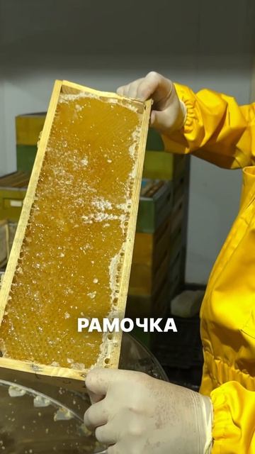 Как откачивают мёд: весь процесс от рамки до банки