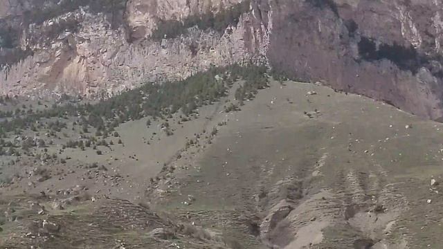 1000001242.mp4