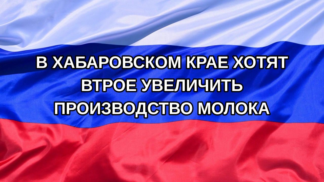 |Н. РФ| В Хабаровском крае хотят втрое увеличить производство молока