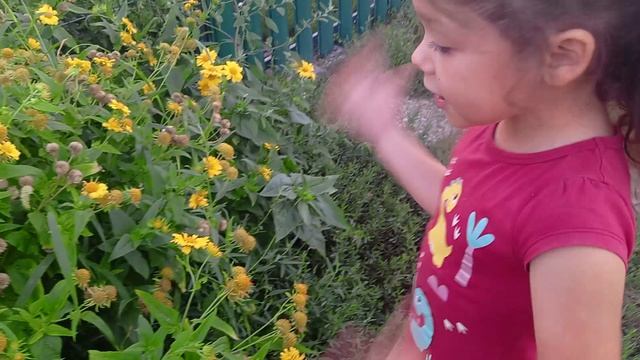 1000113796.mp4