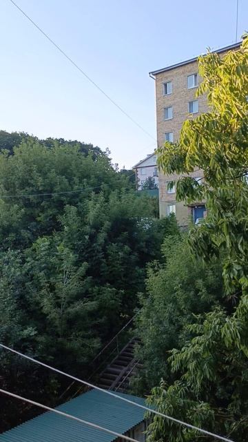 утренняя прохлада