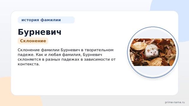 Фамилия Бурневич: происхождение значение и склонение