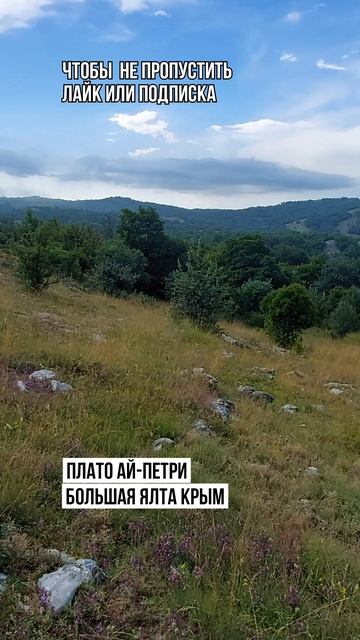 Плато АйПетри АйПетринская яйла Большая Ялта Крым. горы позитив виды красиво