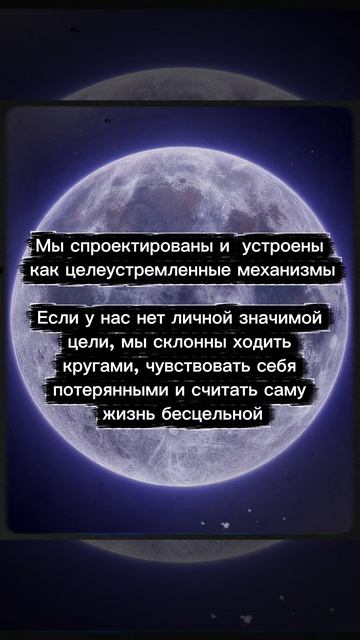 Устройство человека