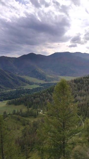 Алтай. Перевал Чике-Таман