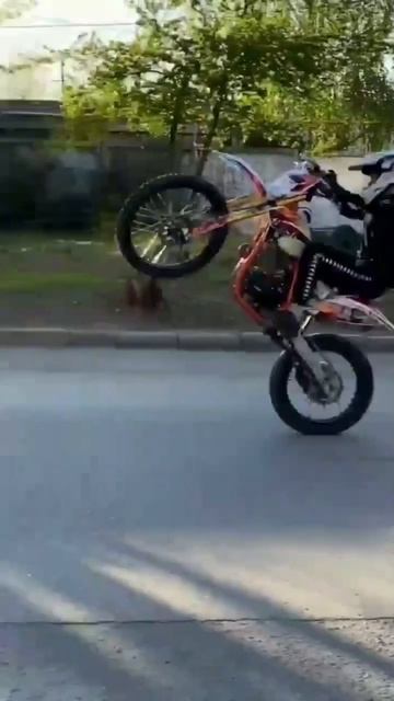 Макс 1000131878.mp4