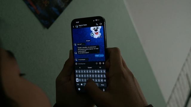 4103481627726249236