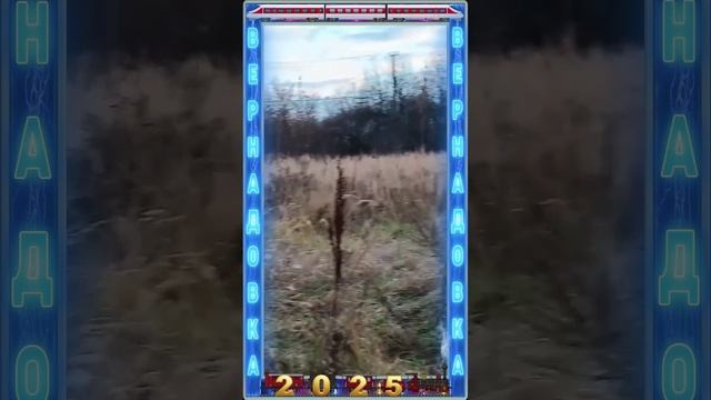 Вернадовка 2025 год