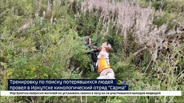 Четвероногие герои. Тренировочный поиск провел кинологический отряд Сарма в Иркутске