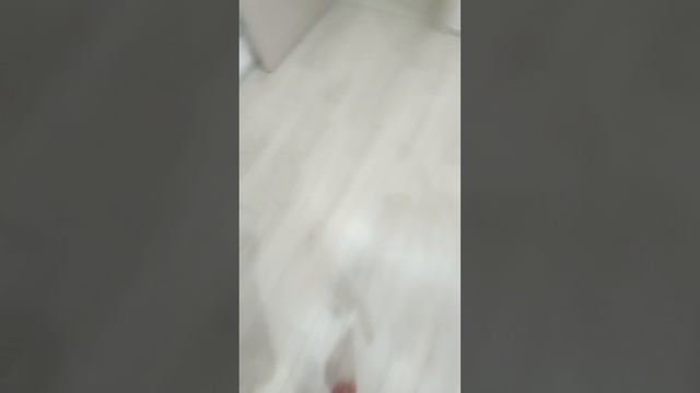 1000015950.mp4