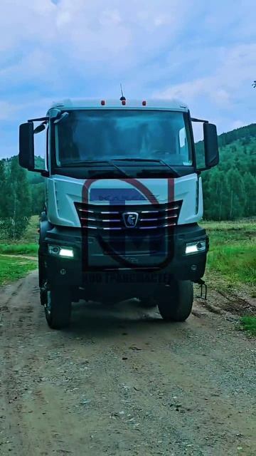 Контейнеровоз на шасси КАМАЗ 65958-AА поколения К5
