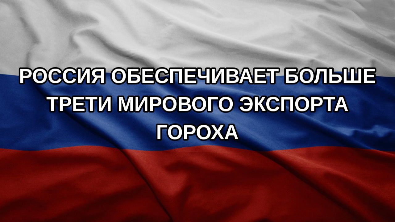 Россия обеспечивает больше трети мирового экспорта гороха