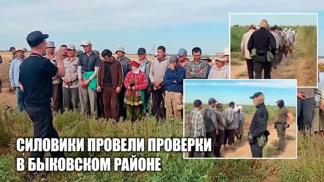 В Быковском районе проведен рейд по контролю за соблюдением миграционного законодательства