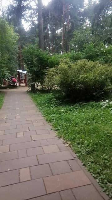 Интервью