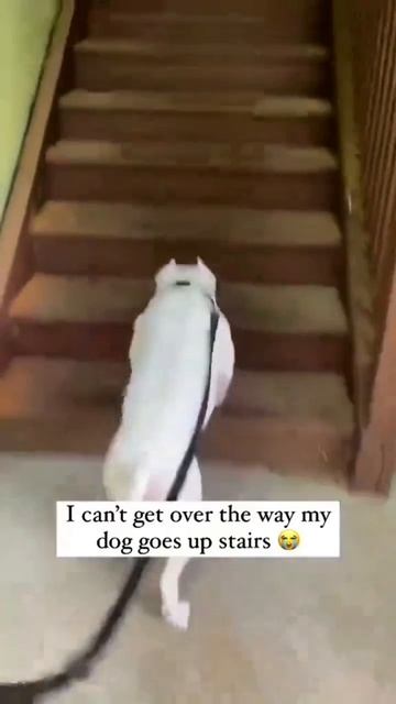370