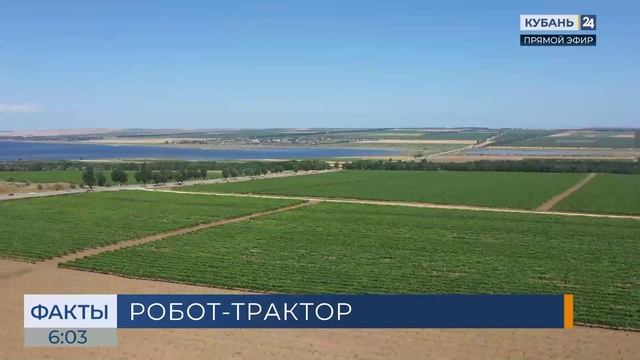 Беспилотный робот-трактор тестируют на виноградниках в Абрау-Дюрсо