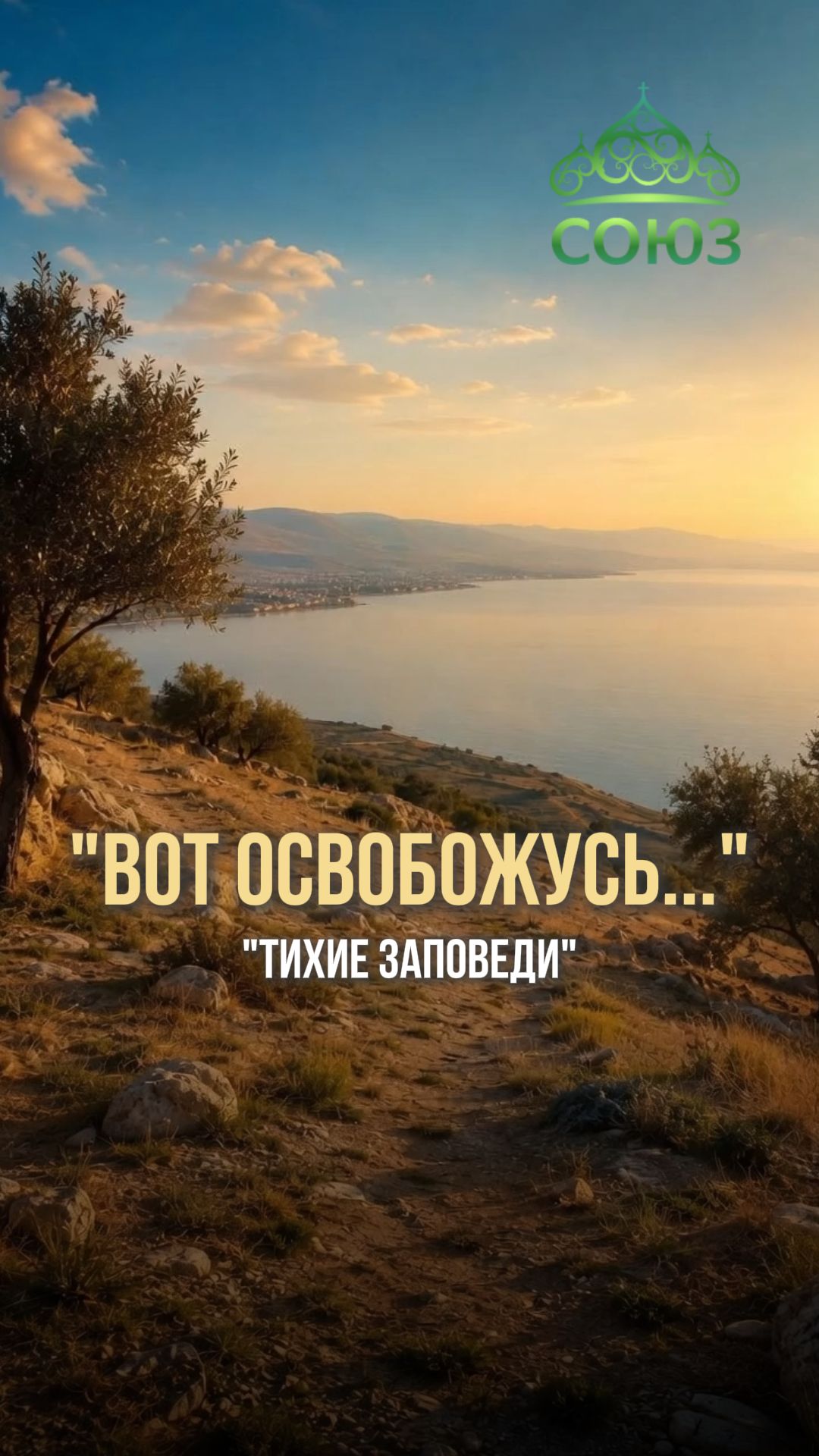 Вот освобожусь... Тихие заповеди