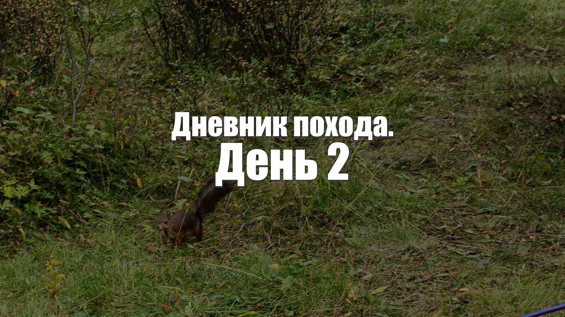 Алтай. День 2. Долина цветных озер и перевал Рижский.