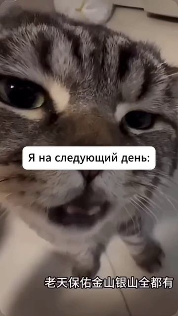 Для ценителей вкуса и традиций
Прессованный чай ТЕ ГУАНЬ ИНЬ  KOНONЛЯ 
как вам такое сочетание? и