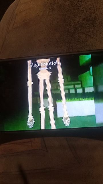 1000003302.mp4