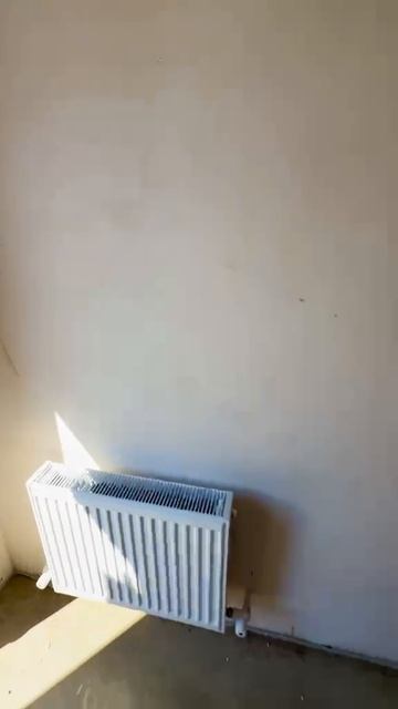 VID-20260821-WA0019.mp4