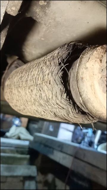 1000037233.mp4