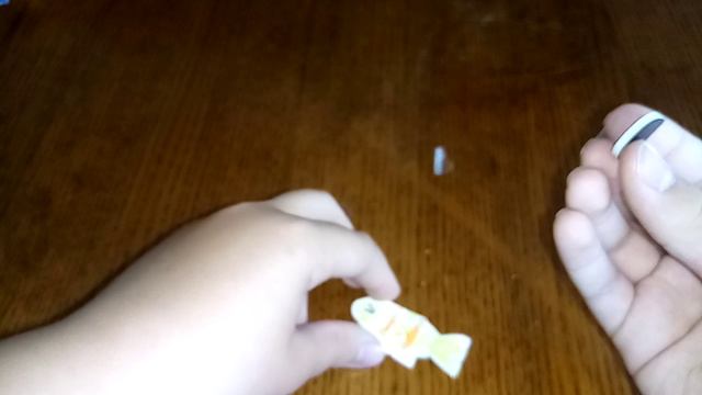 VID_20260820_1449162.mp4