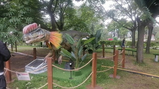 Интервью
