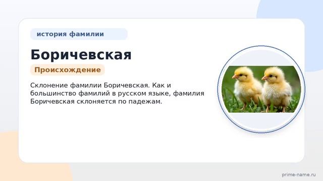 Фамилия Боричевская: происхождение значение и склонение