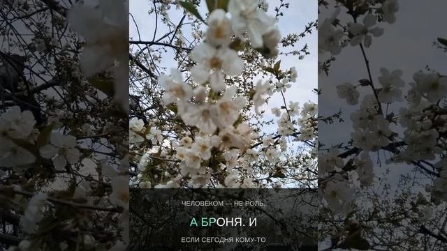 1000056606.mp4
