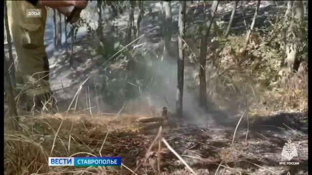 На Ставрополье продлены ограничения на пребывание в лесах