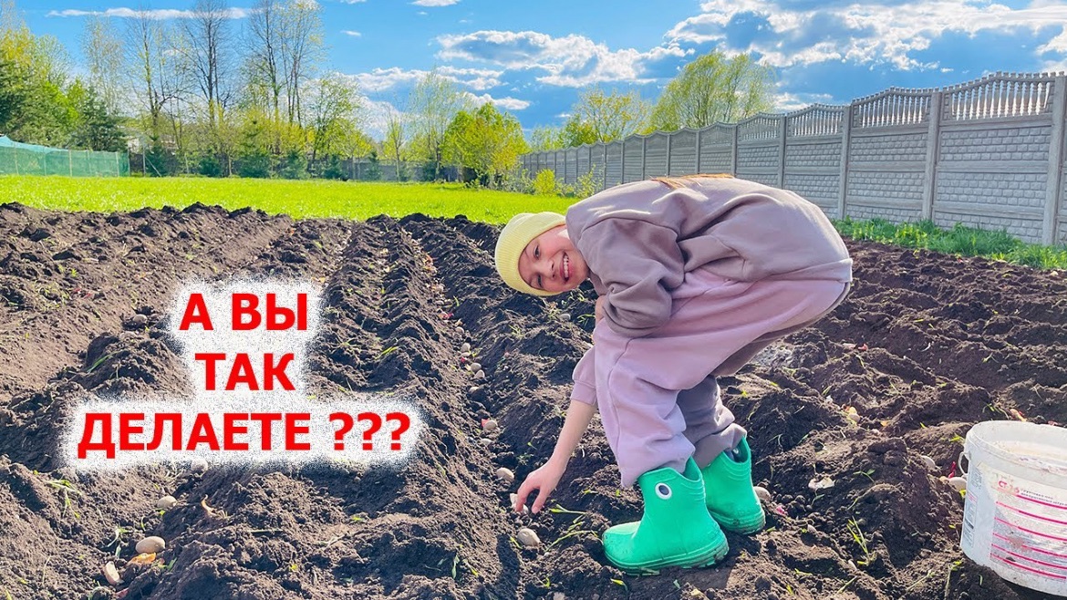 Такой ВЫ меня ещё не Видели * Сажаю КАРТОШКУ * Приехали к Лайку / Вики Шоу