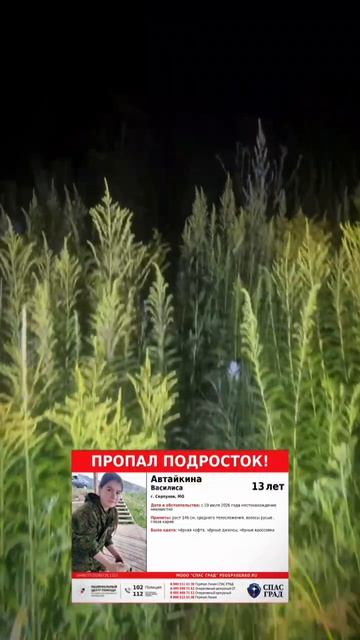 Поиск ребёнка