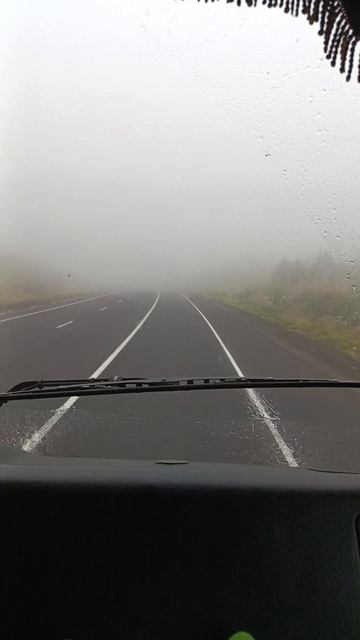 доброе утро