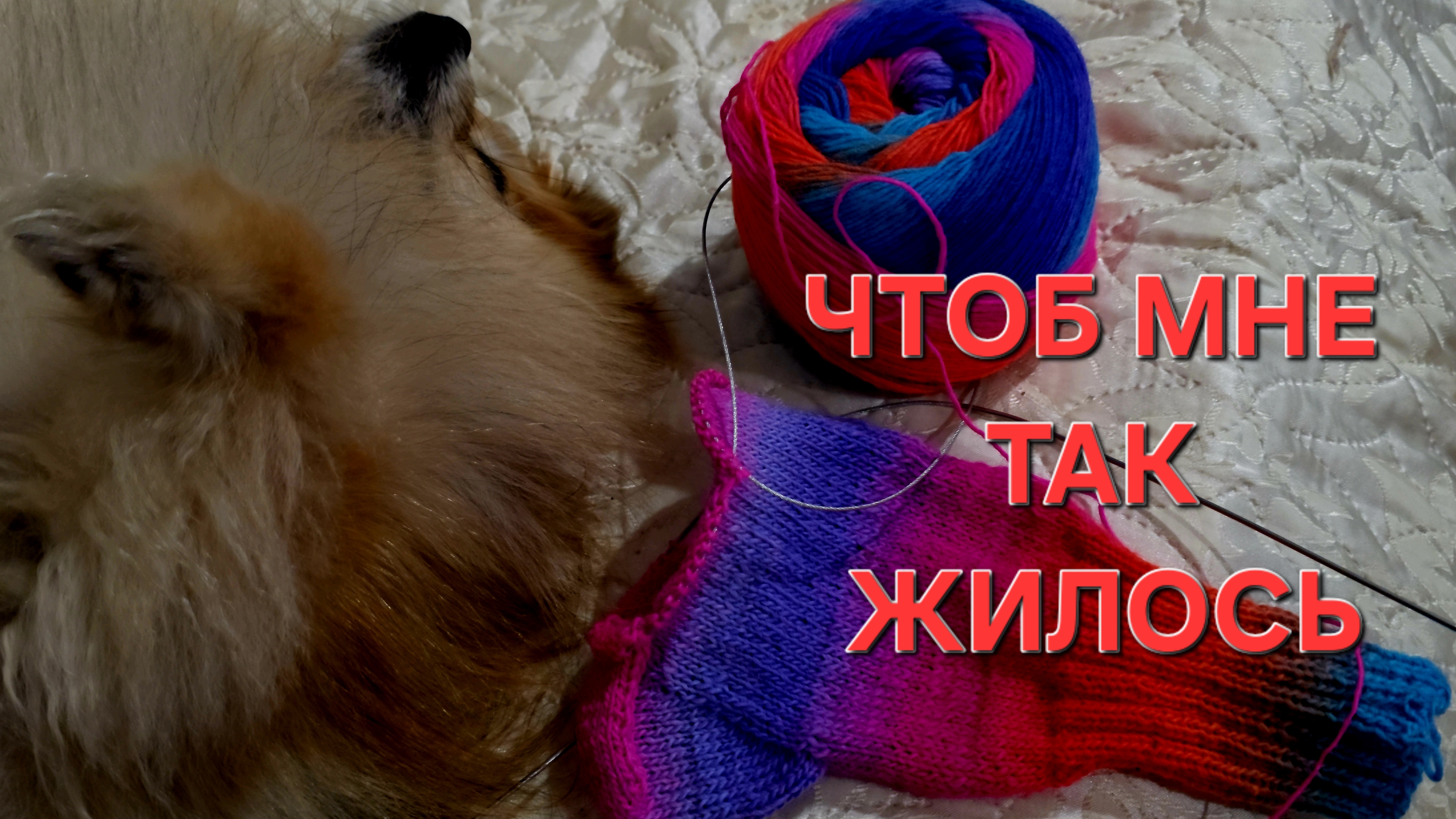 Влог одного дня 21-08-2026