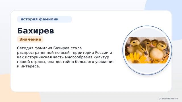 Фамилия Бахирев: происхождение значение и склонение