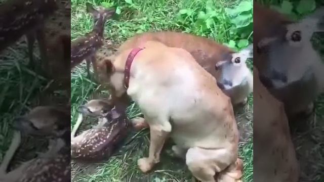 БЫВАЕТ