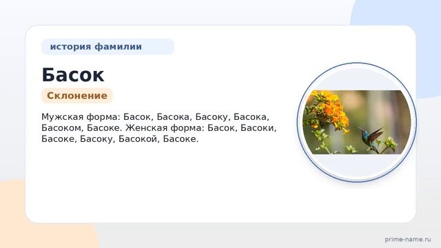 Фамилия Басок: происхождение значение и склонение