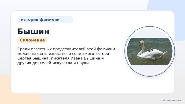 Фамилия Бышин: происхождение значение и склонение