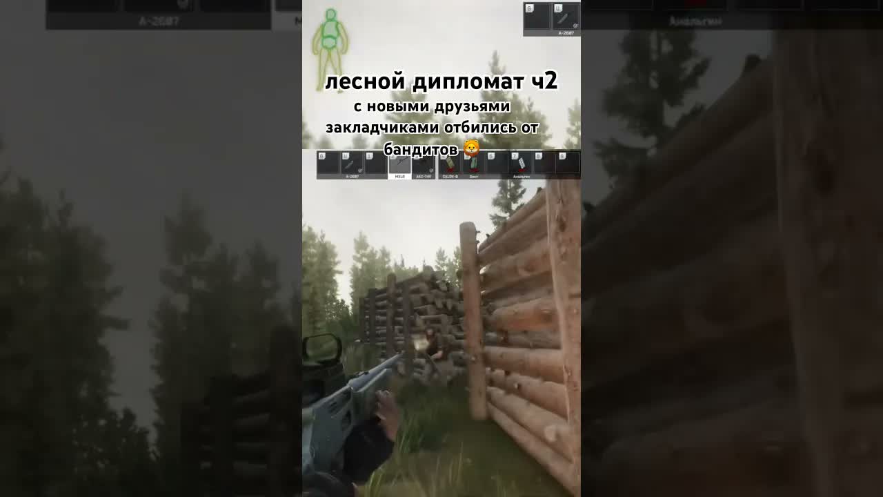 лесной дипломат ч2 eft тарков escapefromtarkov tarkov
