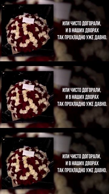 ZQ Jakone Kiliana - Была не была