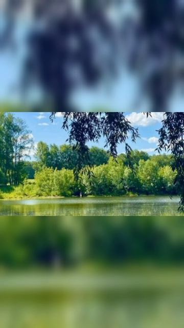 Татарская песня Жэй сагындырдын эй - Ильсия Бадретдинова