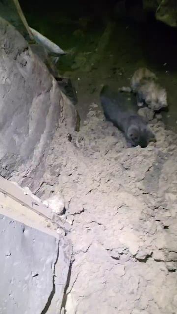 Обстановка зимой в наших окопах. Архив.