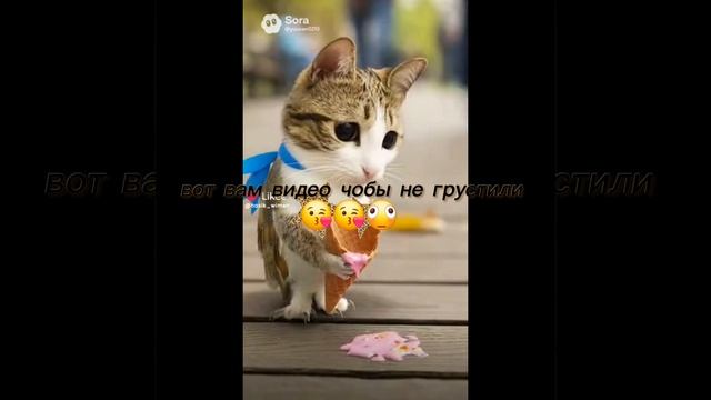 гоп