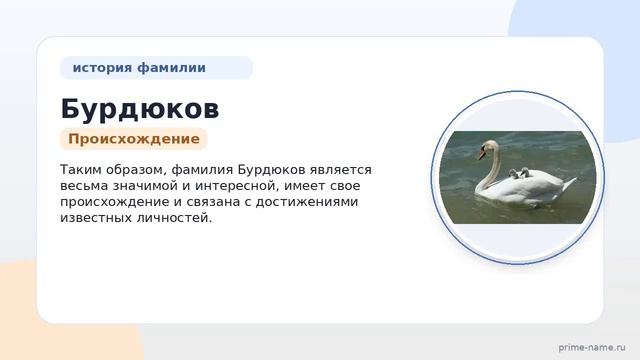 Фамилия Бурдюков: происхождение значение и склонение