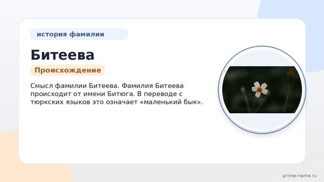 Фамилия Битеева: происхождение, значение и склонение