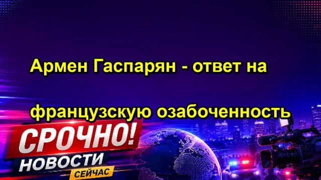 Армен Гаспарян ответ на французскую озабоченность