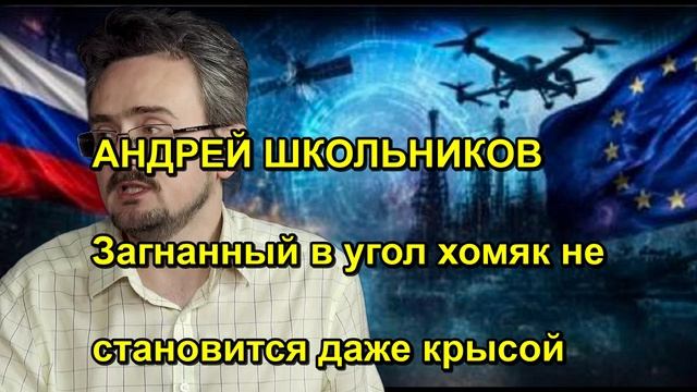 АНДРЕЙ ШКОЛЬНИКОВ Загнанный в угол хомяк не становится даже крысой